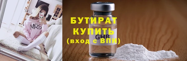 хмурый Пересвет