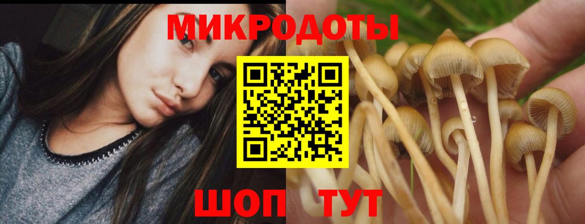 Псилоцибиновые грибы Psilocybine cubensis  Галлюциногенные грибы Cubensis  Вход с VPN  Мирный 